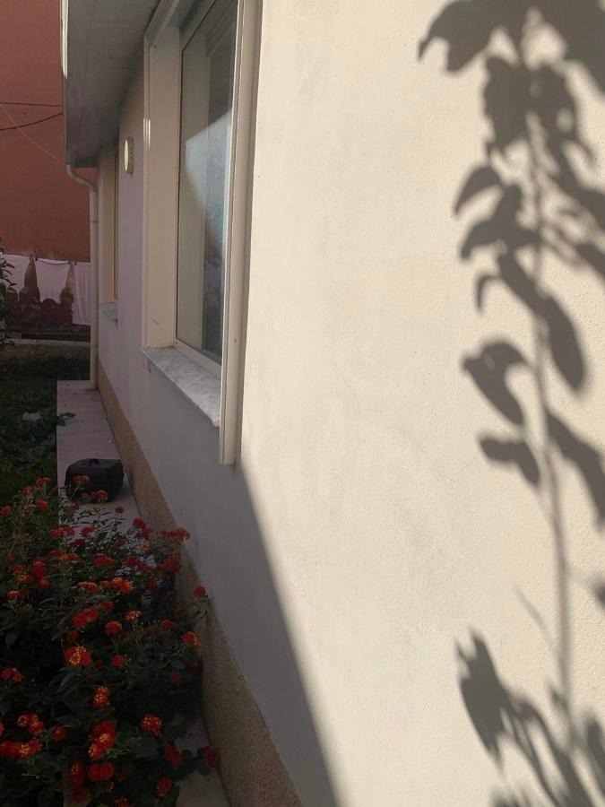 Apartament Sweet *